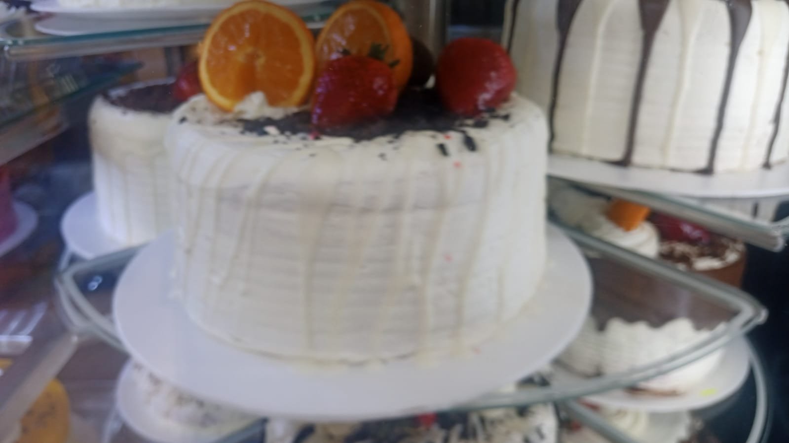 Imagen 5 de FINCA CAFETERA